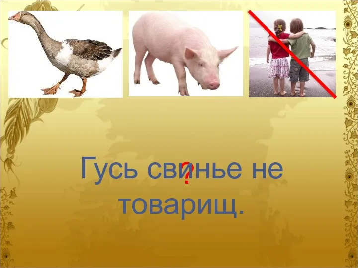 ? Гусь свинье не товарищ.