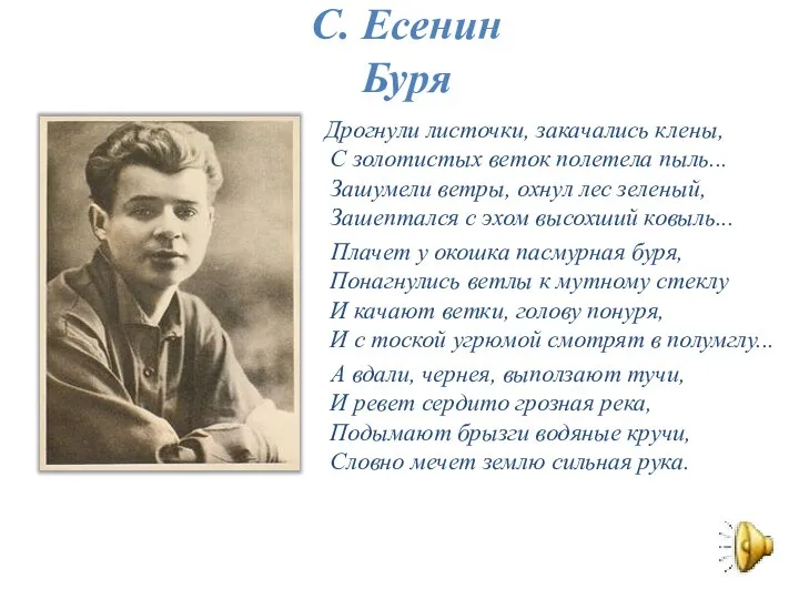 С. Есенин Буря Дрогнули листочки, закачались клены, С золотистых веток полетела пыль...