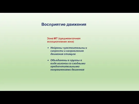 Зона МТ (средневисочная ассоциативная зона) Нейроны чувствительны к скорости и направлению движения