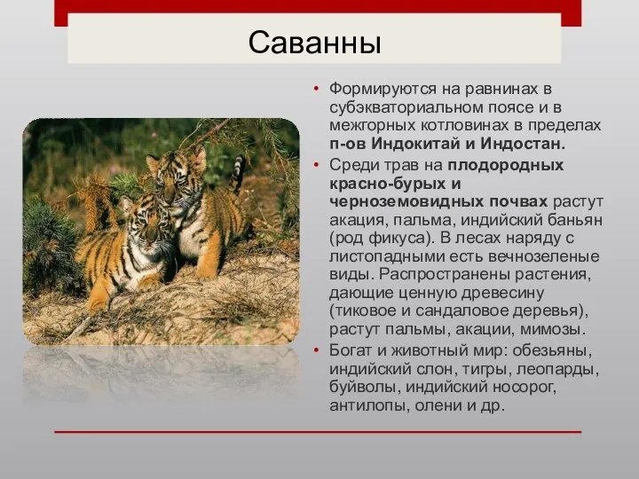 Саванны Формируются на равнинах в субэкваториальном поясе и в межгорных котловинах в