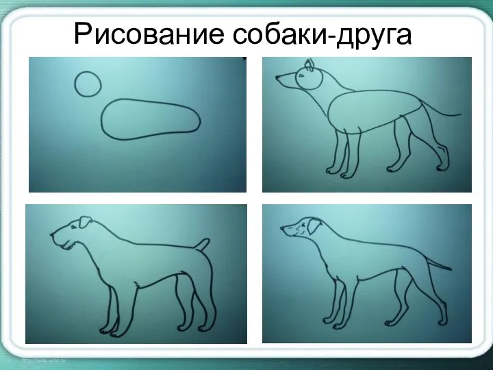 Рисование собаки-друга