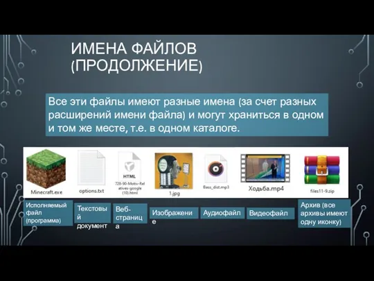ИМЕНА ФАЙЛОВ (ПРОДОЛЖЕНИЕ) Все эти файлы имеют разные имена (за счет разных