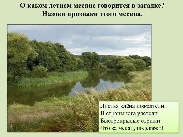 О каком летнем месяце говорится в загадке? Назови признаки этого месяца. Листья