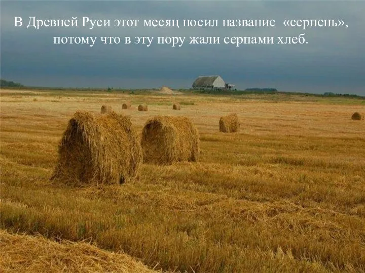 В Древней Руси этот месяц носил название «серпень», потому что в эту пору жали серпами хлеб.
