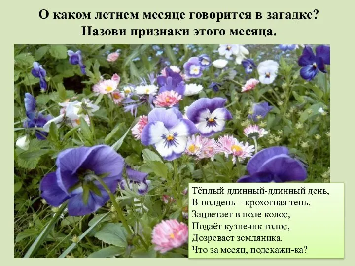 О каком летнем месяце говорится в загадке? Назови признаки этого месяца. Тёплый