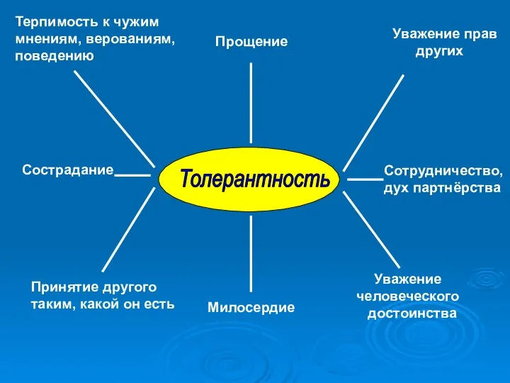 Толерантность Прощение Милосердие Уважение прав других Сотрудничество, дух партнёрства Уважение человеческого достоинства