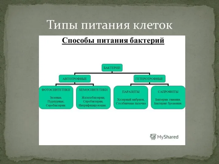 Типы питания клеток