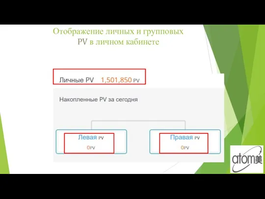 Отображение личных и групповых PV в личном кабинете