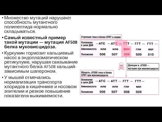 Множество мутаций нарушают способность мутантного полипептида нормально складываться. Самый известный пример такой