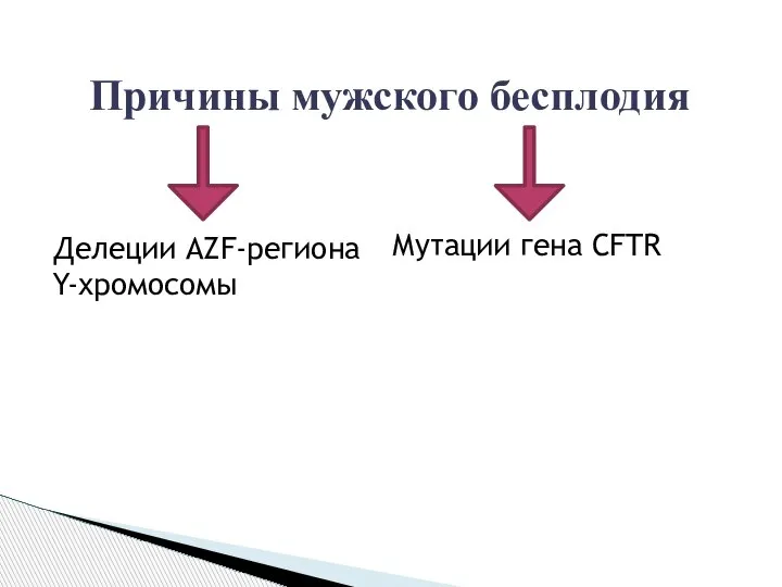 Причины мужского бесплодия Делеции AZF-региона Y-хромосомы Мутации гена CFTR