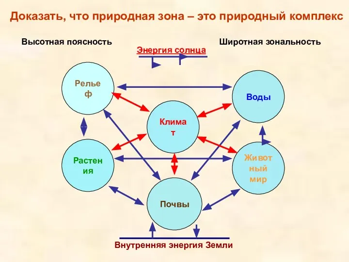 Доказать, что природная зона – это природный комплекс Рельеф Климат Воды Растения