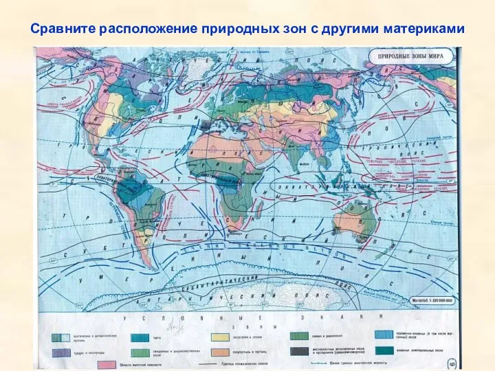 Сравните расположение природных зон с другими материками