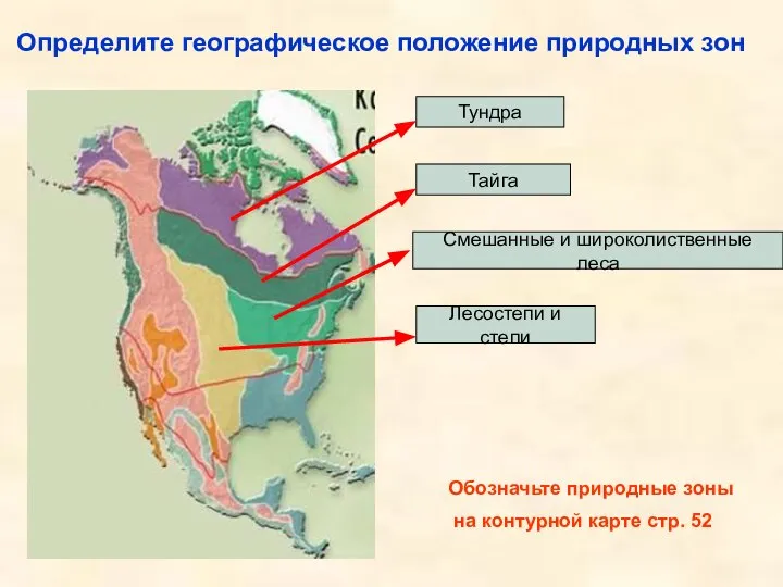 Определите географическое положение природных зон Тундра Тайга Смешанные и широколиственные леса Лесостепи
