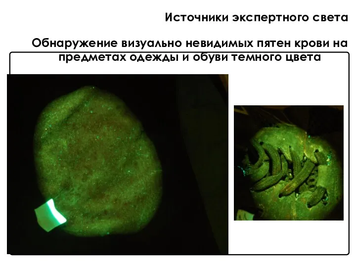 Обнаружение визуально невидимых пятен крови на предметах одежды и обуви темного цвета Источники экспертного света