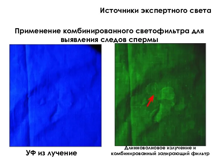 Применение комбинированного светофильтра для выявления следов спермы УФ из лучение Длинноволновое излучение