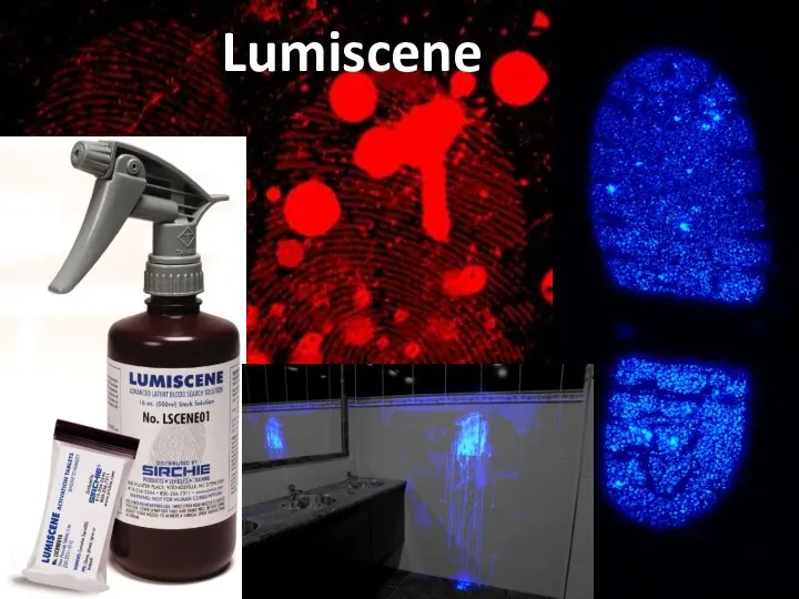 Lumiscene