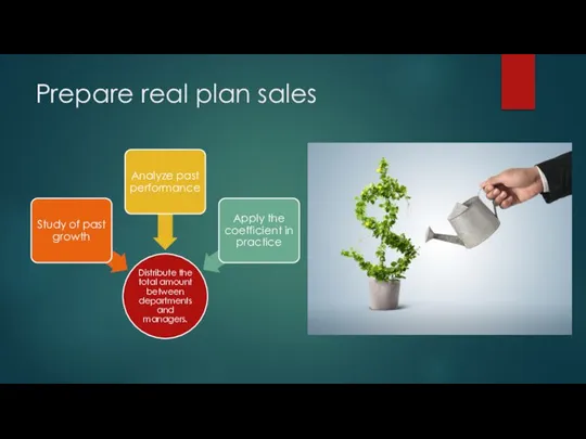 Prepare real plan sales