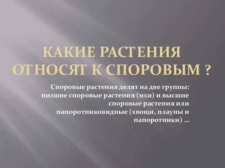 КАКИЕ РАСТЕНИЯ ОТНОСЯТ К СПОРОВЫМ ? Споровые растения делят на две группы: