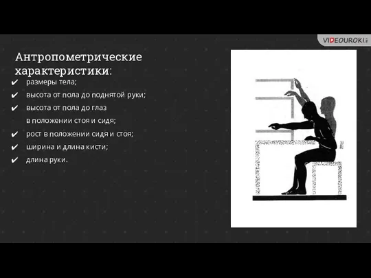 Антропометрические характеристики: размеры тела; высота от пола до поднятой руки; высота от