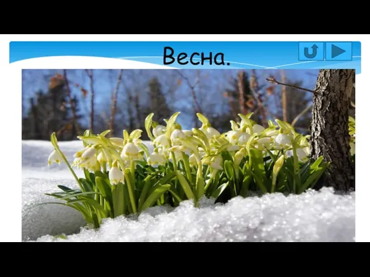 Весна.