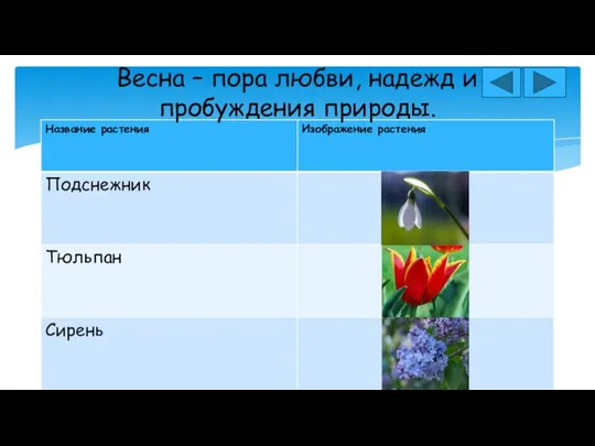 Весна – пора любви, надежд и пробуждения природы.