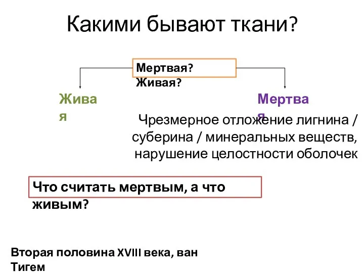 Какими бывают ткани? Мертвая? Живая? Живая Мертвая Что считать мертвым, а что