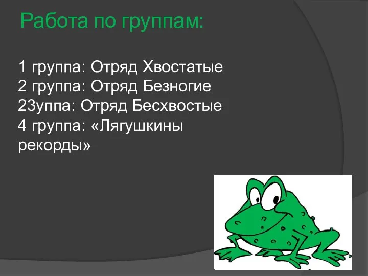 Работа по группам: 1 группа: Отряд Хвостатые 2 группа: Отряд Безногие 23уппа: