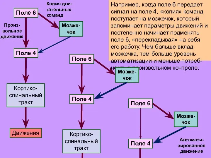 Например, когда поле 6 передает сигнал на поле 4, «копия» команд поступает