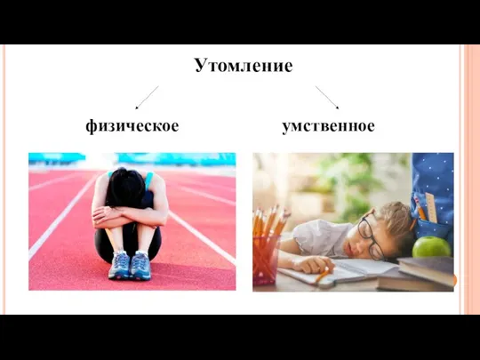 Утомление физическое умственное