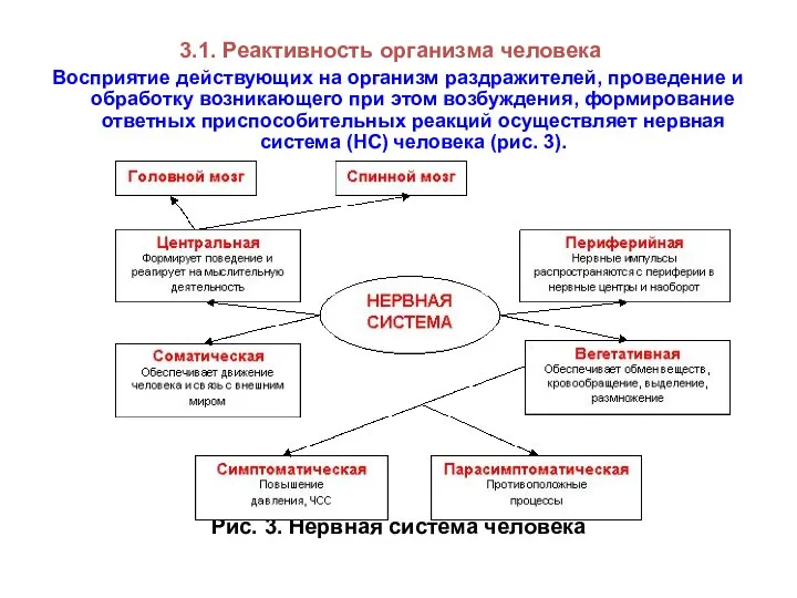 3.1. Реактивность организма человека Восприятие действующих на организм раздражителей, проведение и обработку