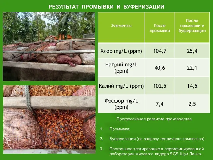 РЕЗУЛЬТАТ ПРОМЫВКИ И БУФЕРИЗАЦИИ Прогрессивное развитие производства Промывка; Буферизация (по запросу тепличного