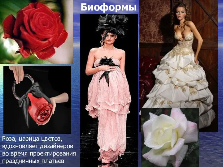 Биоформы Роза, царица цветов, вдохновляет дизайнеров во время проектирования праздничных платьев