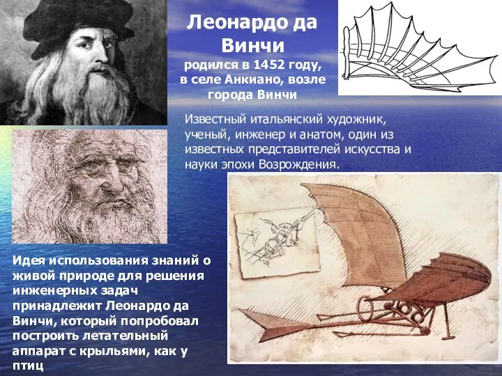 Идея использования знаний о живой природе для решения инженерных задач принадлежит Леонардо