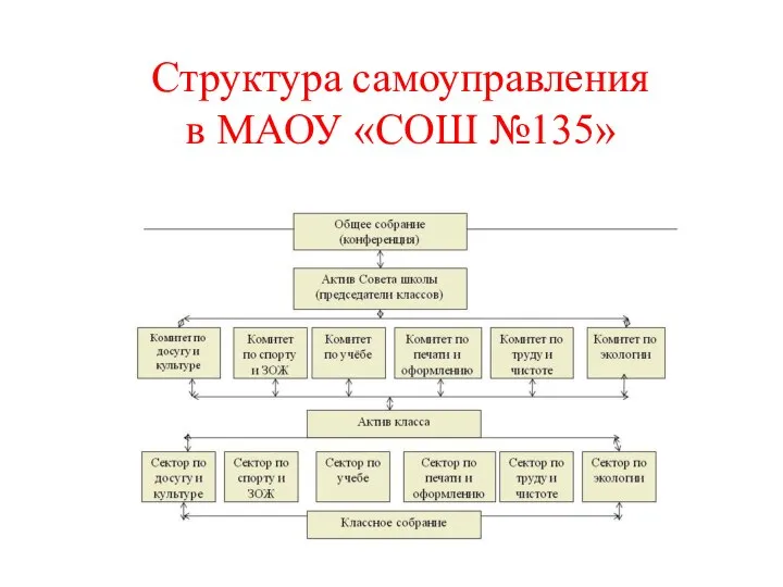 Структура самоуправления в МАОУ «СОШ №135»