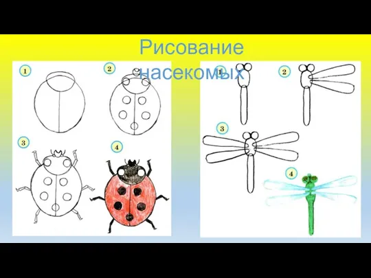 Рисование насекомых