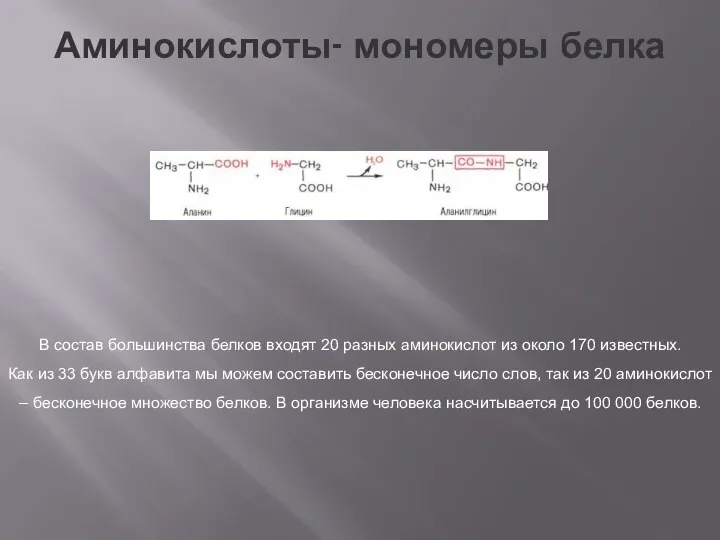 Аминокислоты- мономеры белка В состав большинства белков входят 20 разных аминокислот из