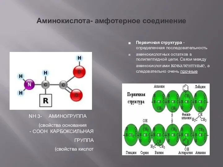 Аминокислота- амфотерное соединение Первичная структура - определенная последовательность аминокислотных остатков в полипептидной