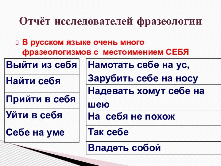 В русском языке очень много фразеологизмов с местоимением СЕБЯ Отчёт исследователей фразеологии