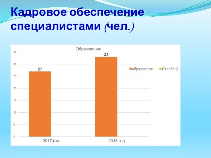 Кадровое обеспечение специалистами (чел.)