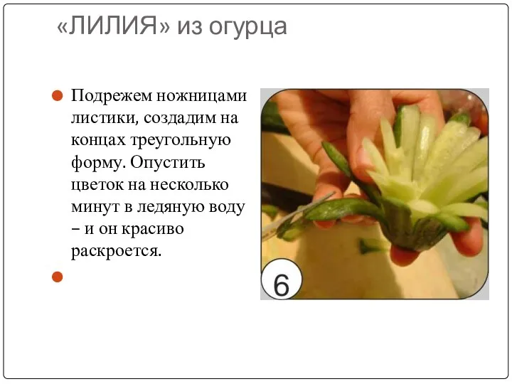 «ЛИЛИЯ» из огурца Подрежем ножницами листики, создадим на концах треугольную форму. Опустить