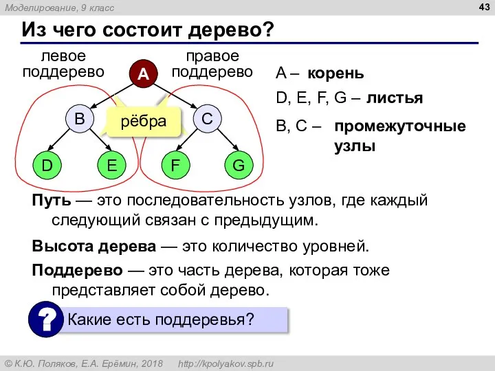 Из чего состоит дерево? A – D, E, F, G – корень