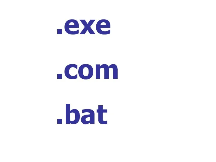 .exe .com .bat