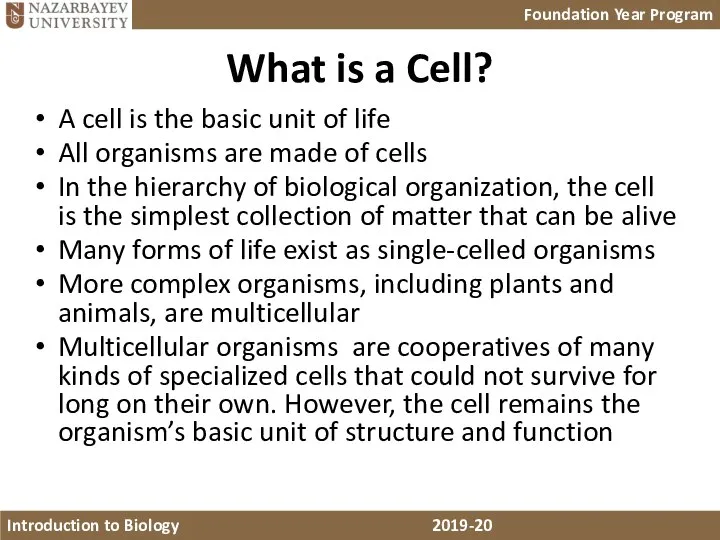 What is a Cell? A cell is the basic unit of life