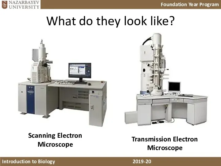 What do they look like? Scanning Electron Microscope Transmission Electron Microscope