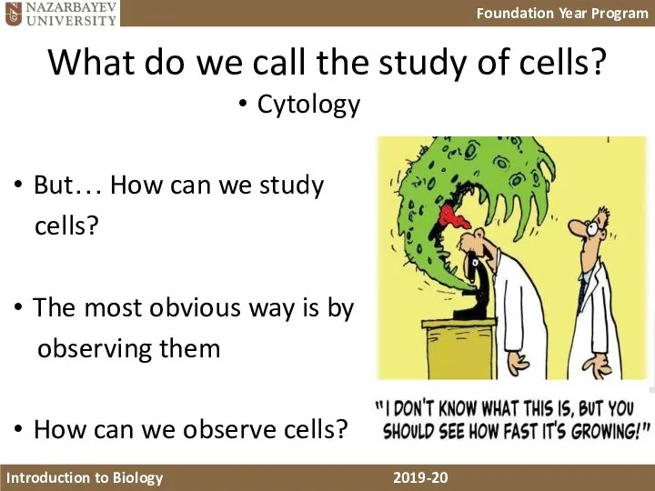 What do we call the study of cells? Cytology But… How can