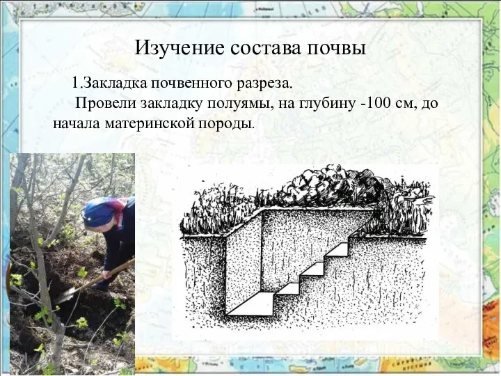 Изучение состава почвы 1.Закладка почвенного разреза. Провели закладку полуямы, на глубину -100