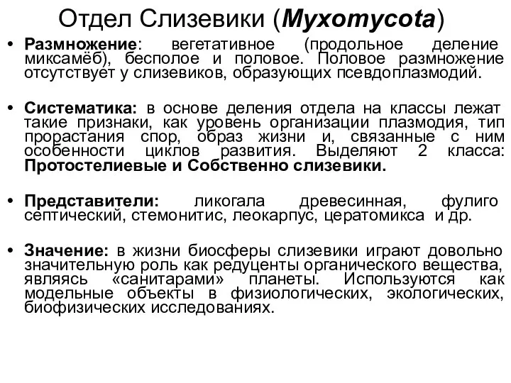 Отдел Слизевики (Myxomycota) Размножение: вегетативное (продольное деление миксамёб), бесполое и половое. Половое
