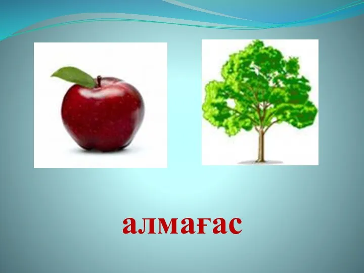 алмағас