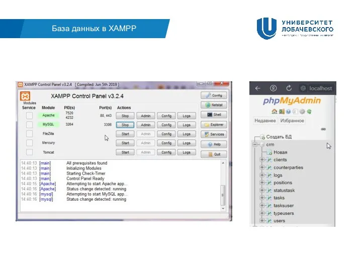 База данных в XAMPP
