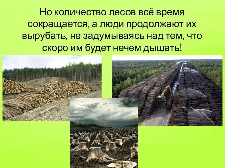 Но количество лесов всё время сокращается, а люди продолжают их вырубать, не